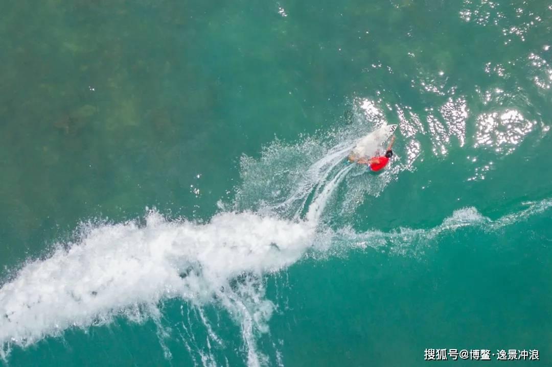 上海浦东新区惠南文学社:2024迎春团拜暨兀凰小说研讨会掠影